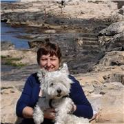 Ripetizioni e traduzioni lingua inglese